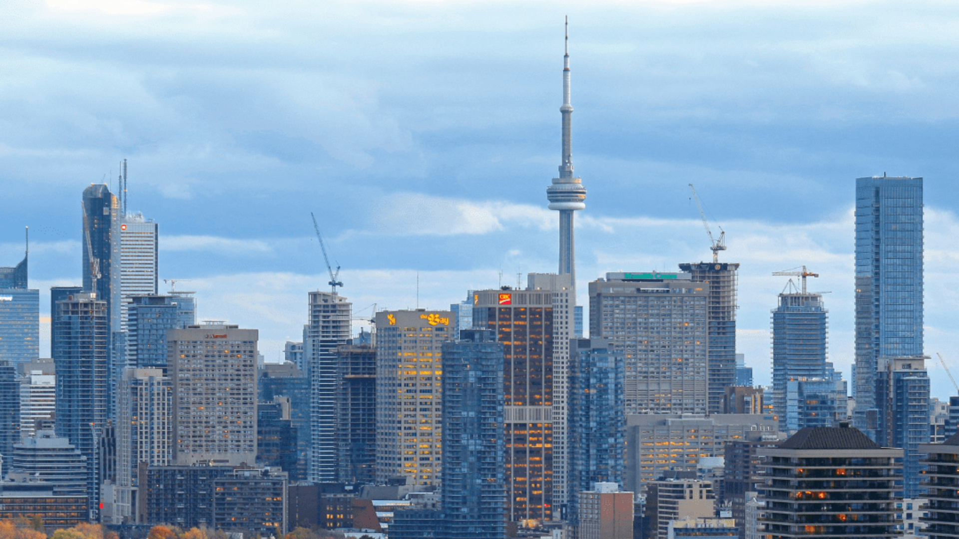 Neighborhood Guide: West End Charm and Culture